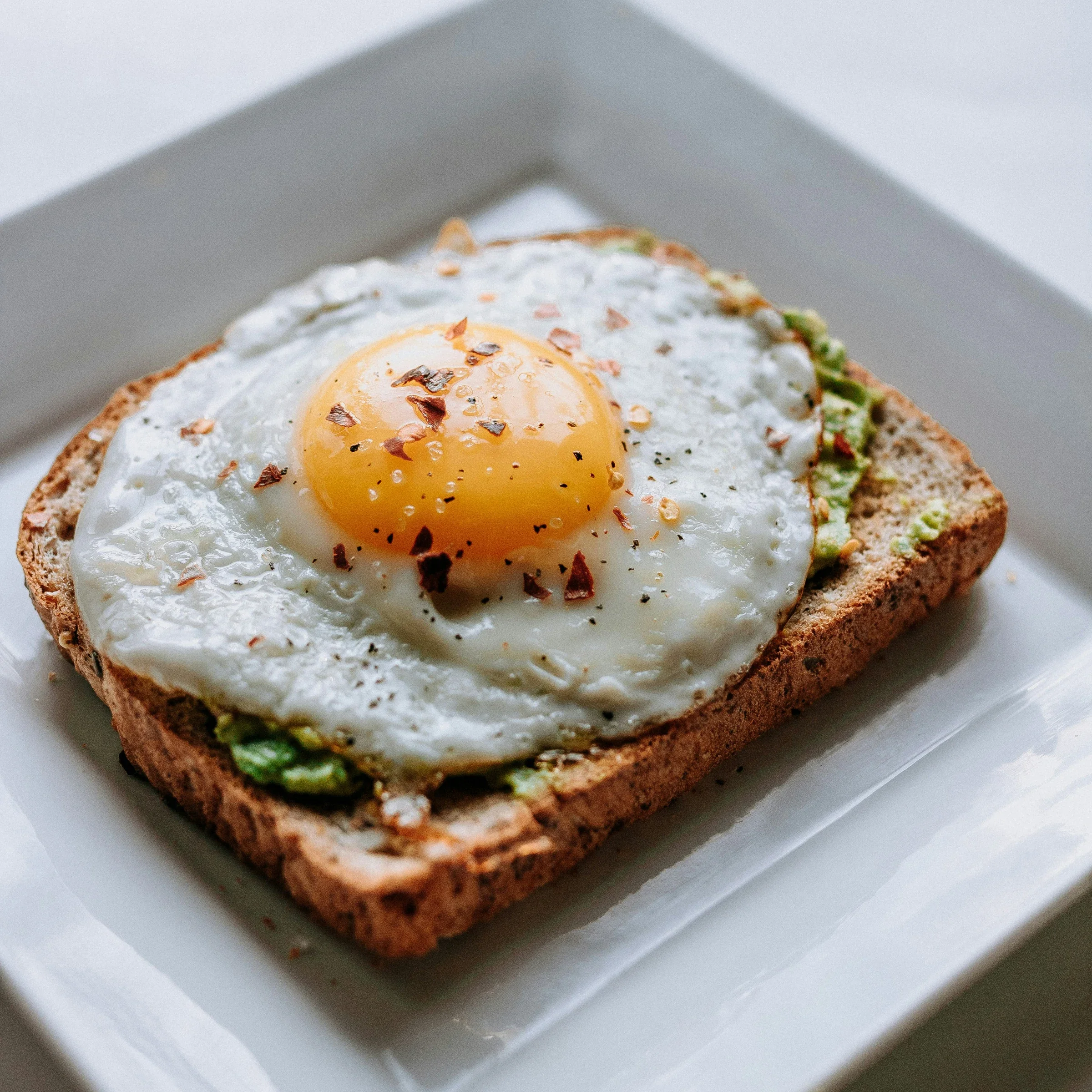 Avokadolu Tost
